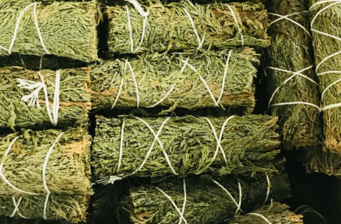 Cedar Sage Bundle